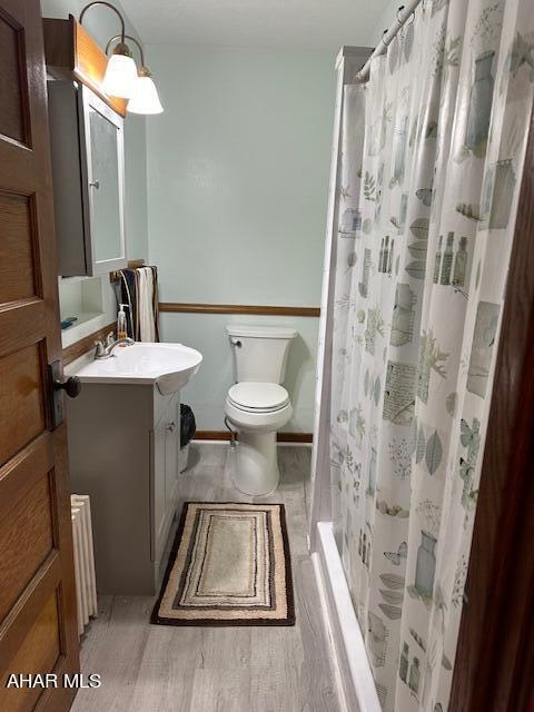 bathroom with hardwood / wood-style floors, vanity, toilet, and walk in shower