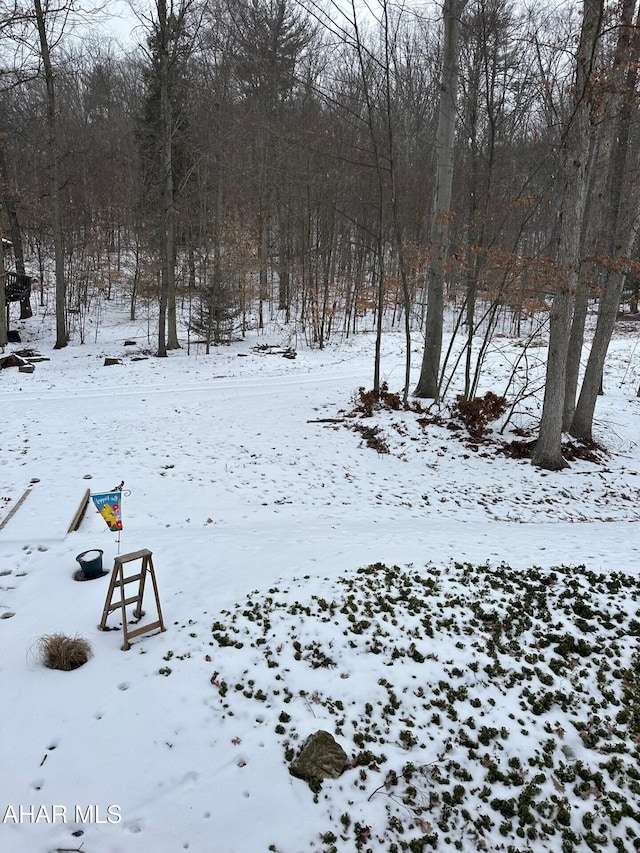 view of yard layered in snow