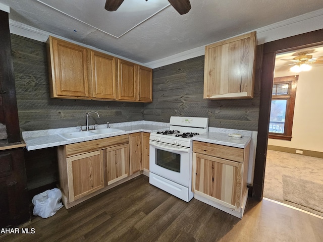 kitchen featuring ornamental molding, sink, white range with gas stovetop, dark hardwood / wood-style floors, and wood walls