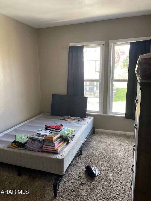 bedroom featuring carpet