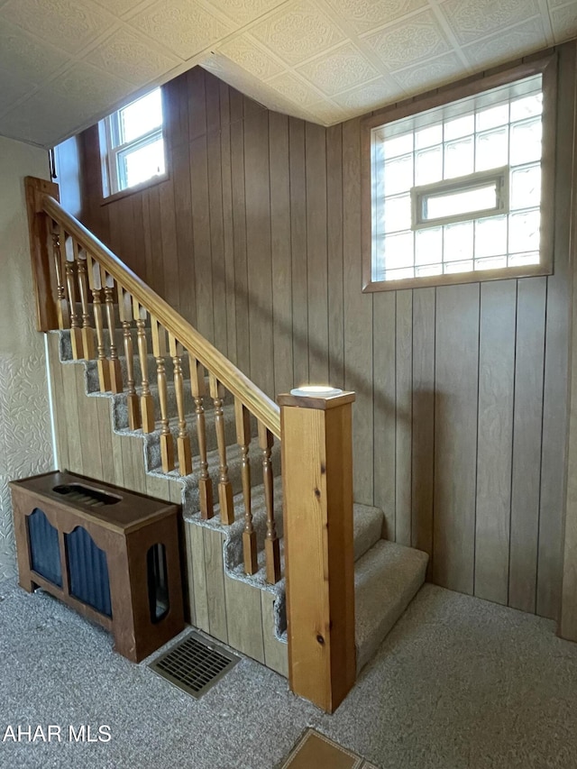 stairs with carpet floors and wooden walls