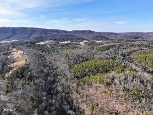 drone / aerial view featuring a mountain view