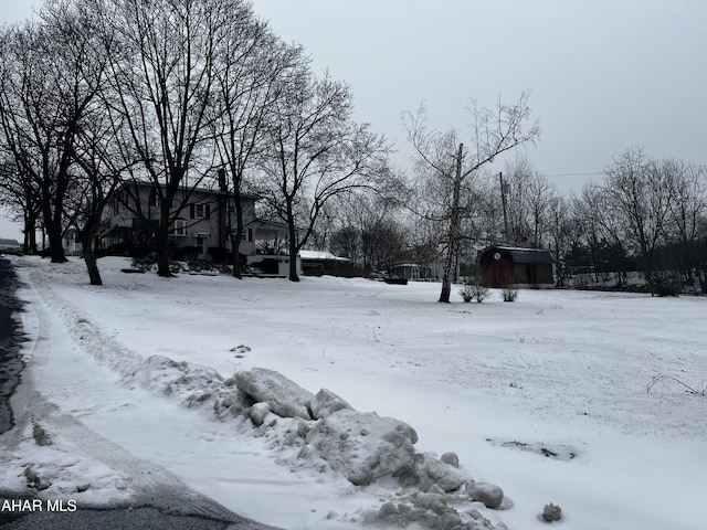 snowy yard with an outbuilding and a storage shed