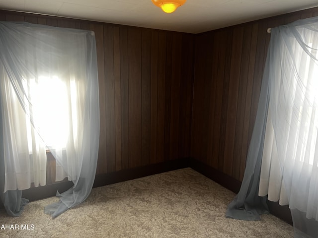 carpeted empty room with wooden walls