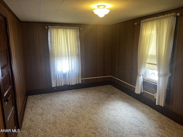 empty room featuring carpet and wooden walls