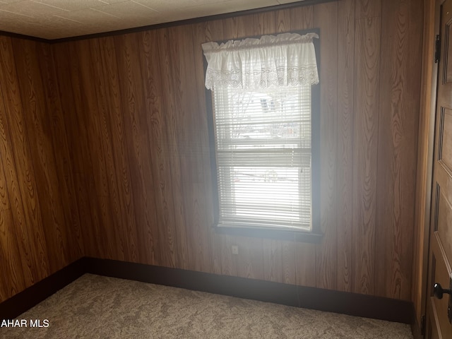 carpeted empty room with wood walls