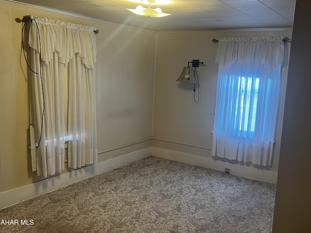 empty room with carpet floors and crown molding