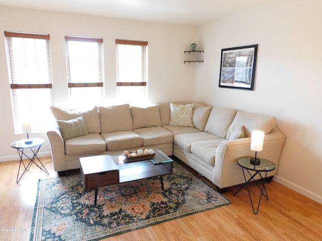 living room with wood-type flooring