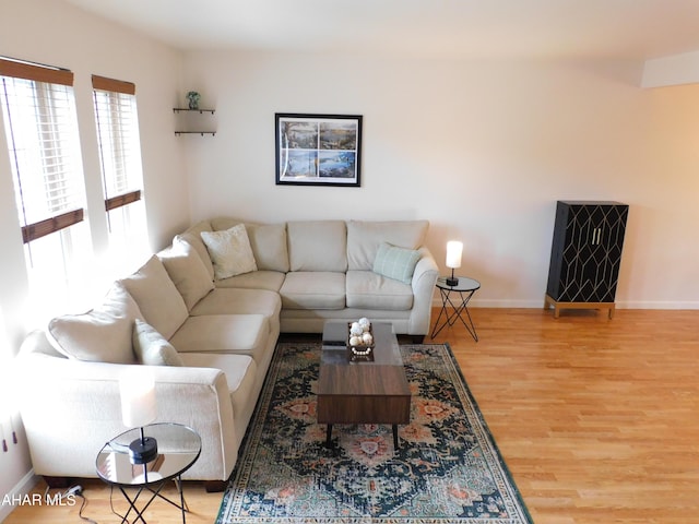 living room featuring hardwood / wood-style flooring