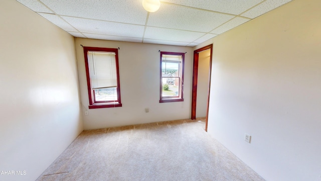 602 5th Ave, Altoona, PA 16602 - unfurnished room with carpet flooring and a paneled ceiling