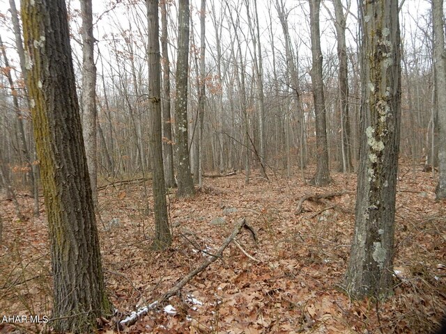 0 Frankstown Rd, Hollidaysburg, PA 16648