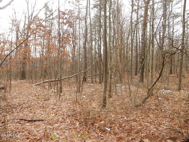 0 Frankstown Rd, Hollidaysburg, PA 16648