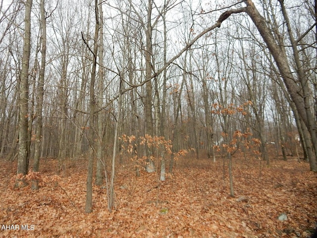 0 Frankstown Rd, Hollidaysburg, PA 16648