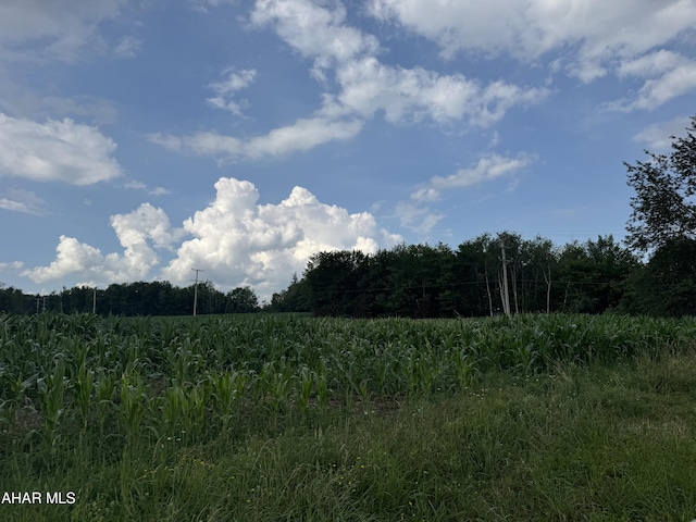 720 Ridge Rd, Fallentimber, PA 16639 - photo 5