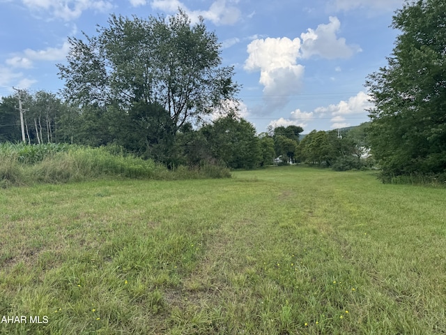 720 Ridge Rd, Fallentimber, PA 16639 - photo 6