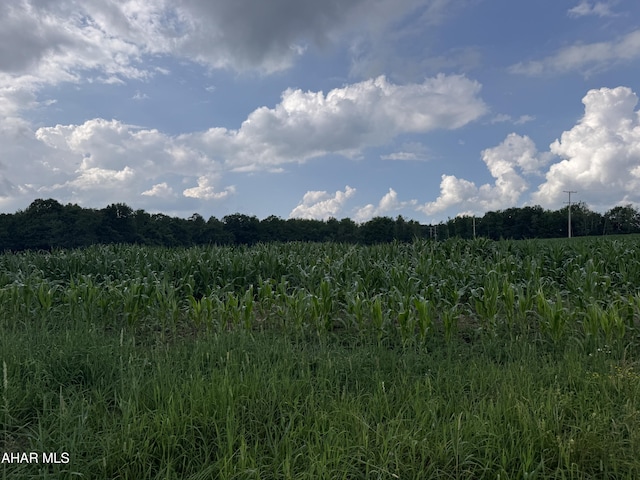 720 Ridge Rd, Fallentimber, PA 16639 - photo 4