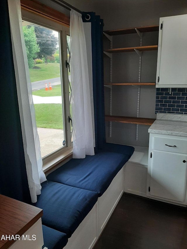 735 N Julian St, Ebensburg, PA 15931 - mudroom with healthy amount of natural light and dark wood-type flooring