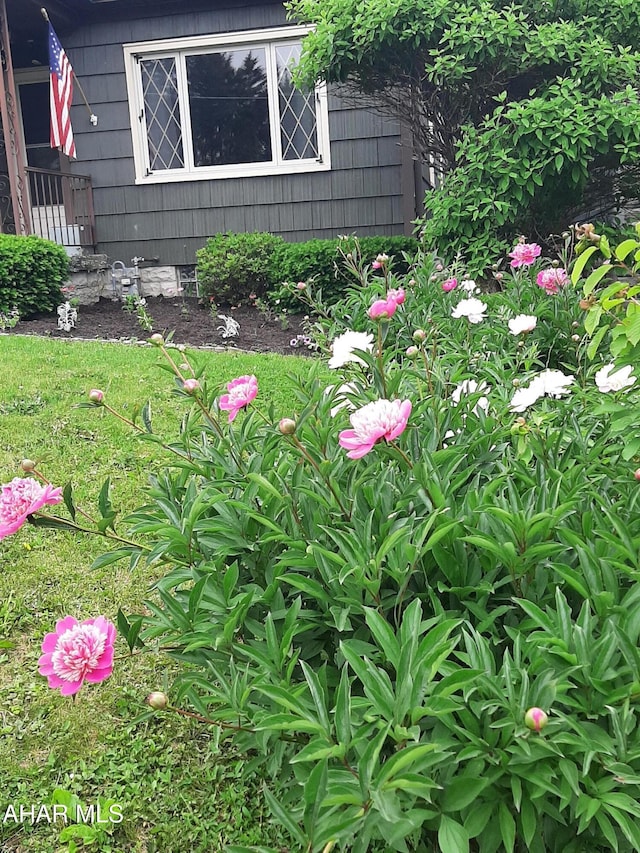 735 N Julian St, Ebensburg, PA 15931 - view of yard