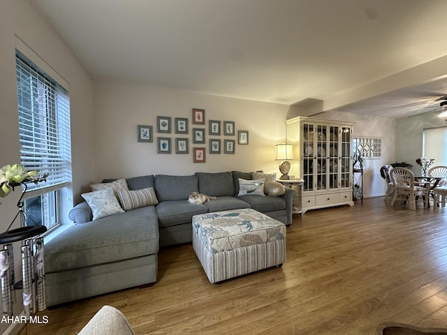 living room featuring ceiling fan, hardwood / wood-style floors, and a healthy amount of sunlight