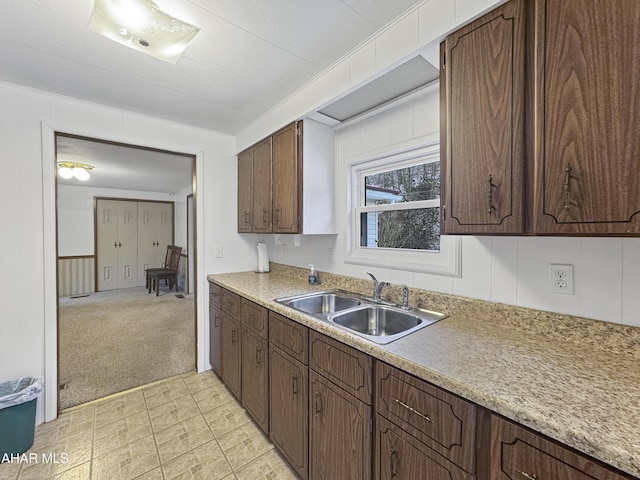 kitchen featuring dark brown cabinetry, light colored carpet, and sink