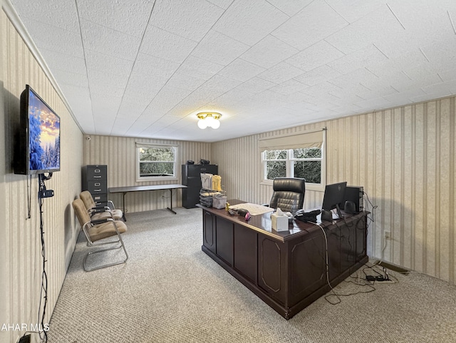 view of carpeted home office