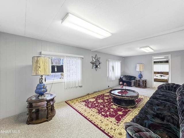 living room with carpet flooring and wooden walls