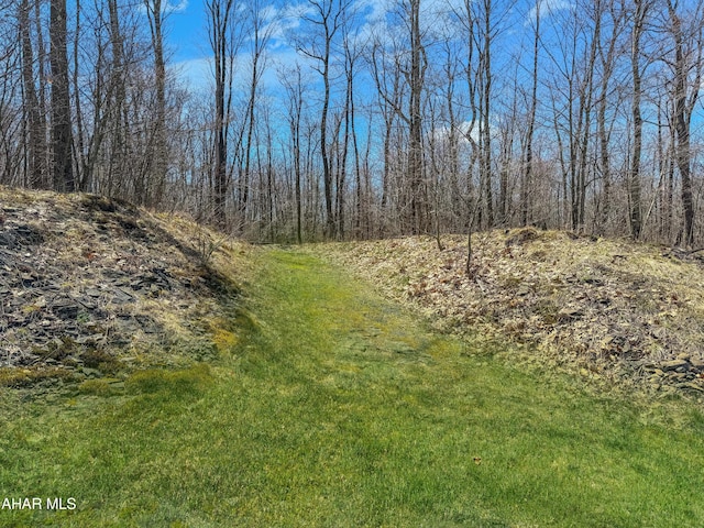 0 Lynx Ln, Vintondale, PA 15961 - photo 4