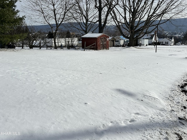 yard covered in snow featuring a storage unit