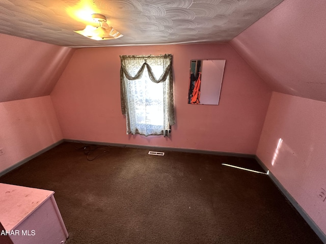 additional living space featuring vaulted ceiling, carpet floors, and a textured ceiling