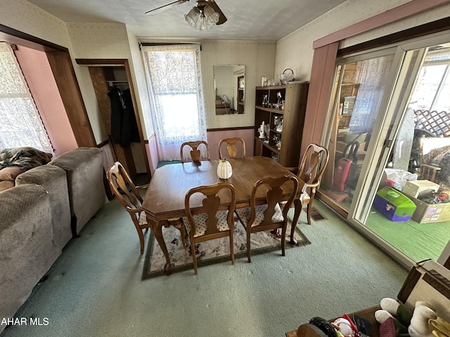 carpeted dining area with plenty of natural light and ceiling fan