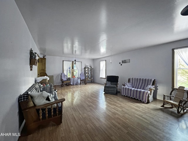 living room with wood-type flooring