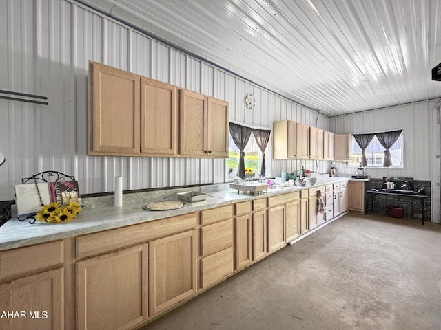 kitchen with light brown cabinets and a wealth of natural light