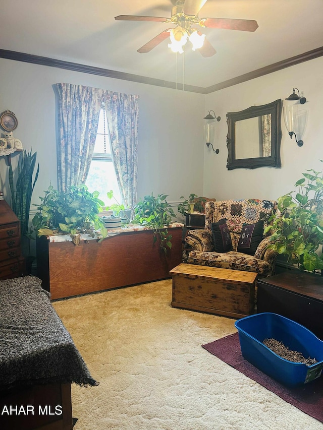 14 W 2nd St, Everett, PA 15537 - living room featuring carpet, a ceiling fan, and ornamental molding