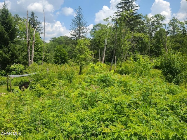 00 Mountain Dale Rd, Fallentimber, PA 16639 - photo 4