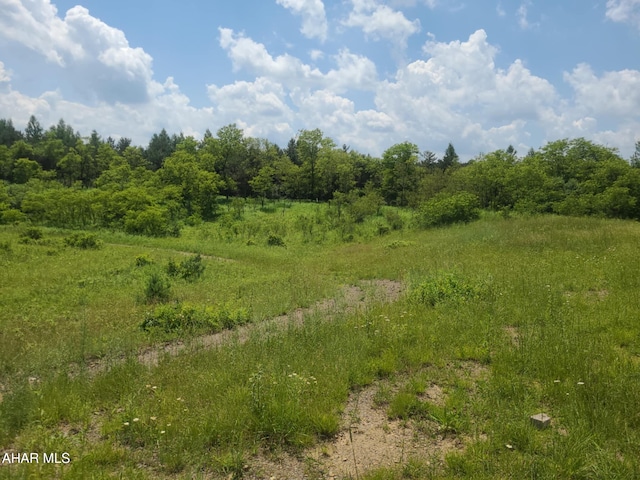 00 Mountain Dale Rd, Fallentimber, PA 16639 - photo 1