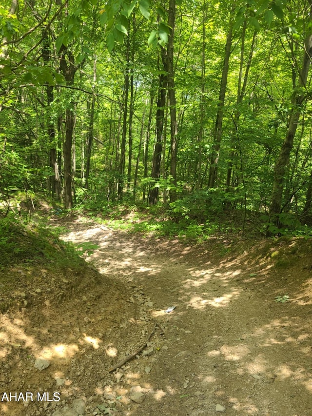 00 Mountain Dale Rd, Fallentimber, PA 16639 - photo 2