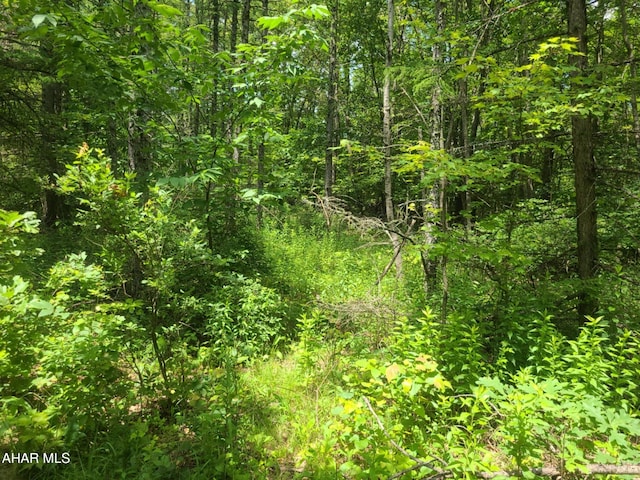 00 Mountain Dale Rd, Fallentimber, PA 16639 - photo 6