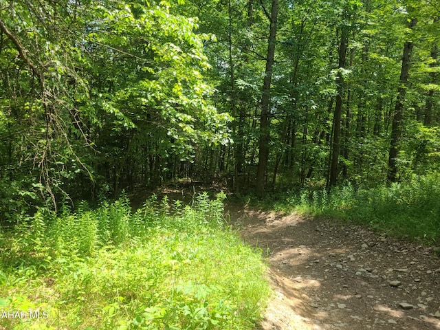 00 Mountain Dale Rd, Fallentimber, PA 16639 - photo 3