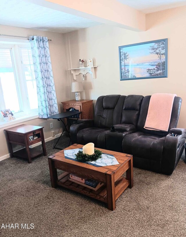 living room featuring carpet flooring