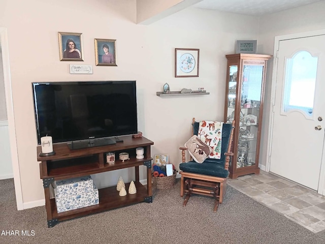 sitting room featuring baseboards and carpet floors