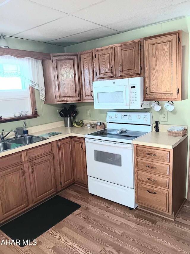 kitchen featuring white appliances, wood finished floors, a drop ceiling, a sink, and light countertops