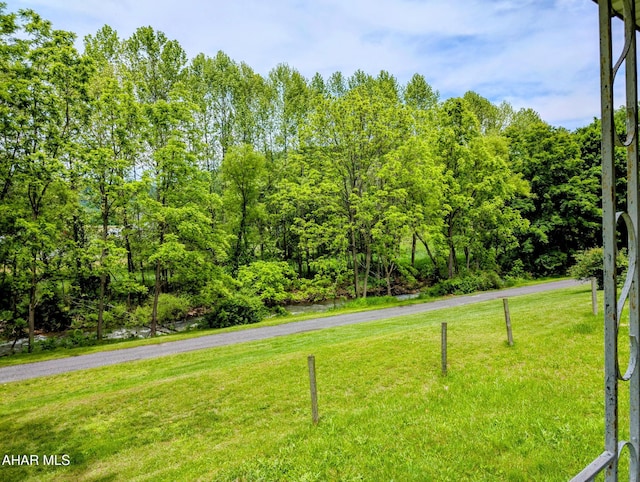 157 Cove Rd, Buffalo Mills, PA 15534 - view of grassy yard