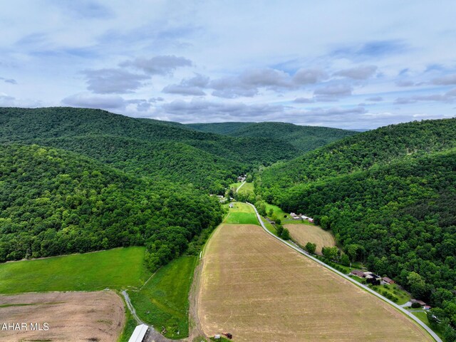 157 Cove Rd, Buffalo Mills, PA 15534 - bird's eye view of a forest and a mountain backdrop