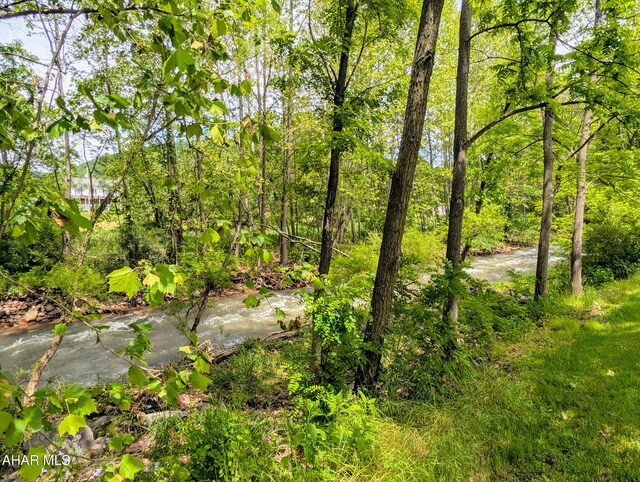 157 Cove Rd, Buffalo Mills, PA 15534 - view of nature