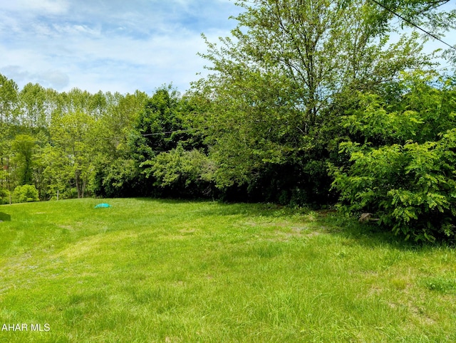 157 Cove Rd, Buffalo Mills, PA 15534 - view of yard