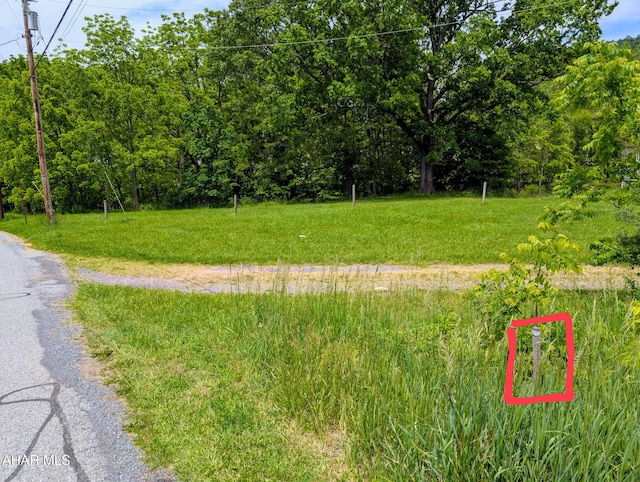 157 Cove Rd, Buffalo Mills, PA 15534 - view of asphalt street featuring a view of trees