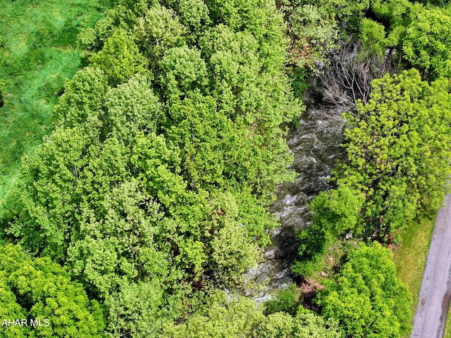 157 Cove Rd, Buffalo Mills, PA 15534 - aerial view