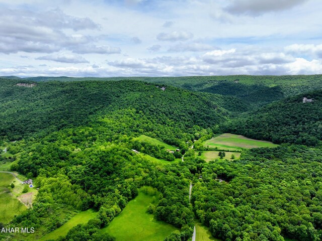 157 Cove Rd, Buffalo Mills, PA 15534 - bird's eye view of a heavily wooded area