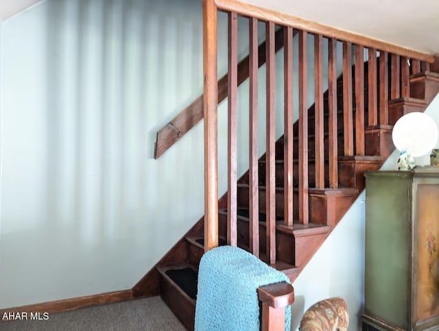 staircase featuring carpet floors