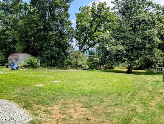 view of yard with a storage shed